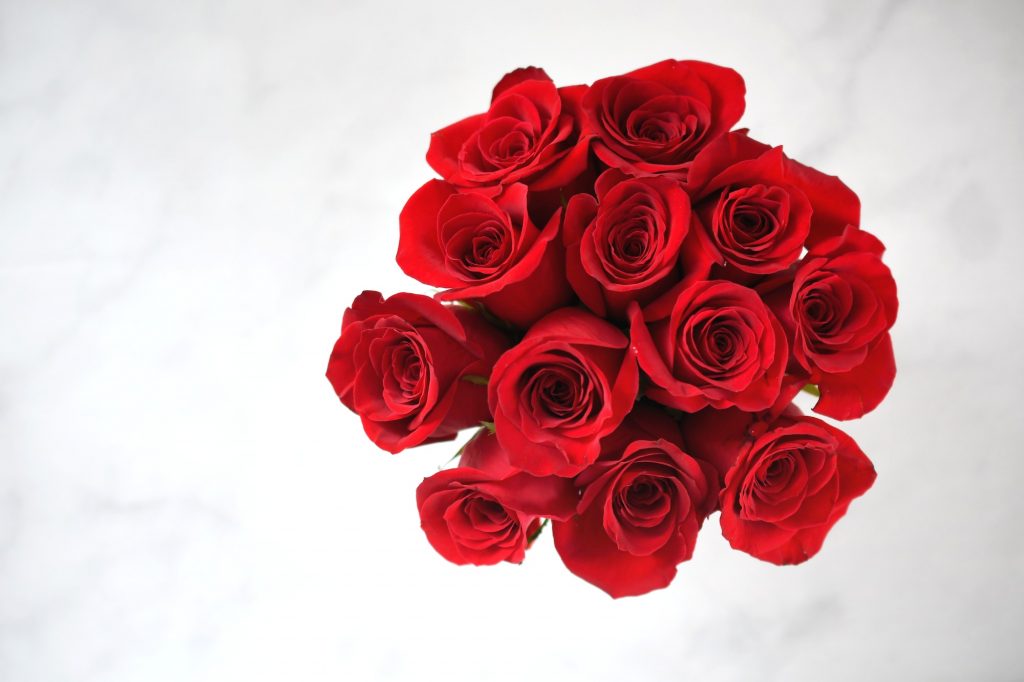 Nosegay bouquet arrangement of red roses on a white background