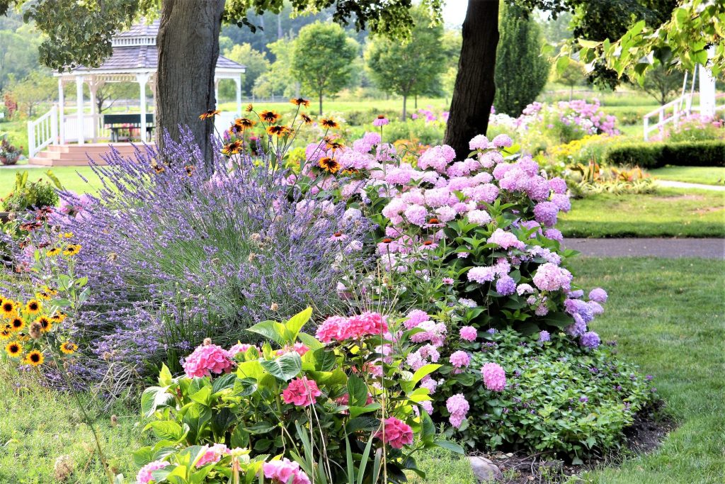 How to Create a Sustainable Flower Garden
